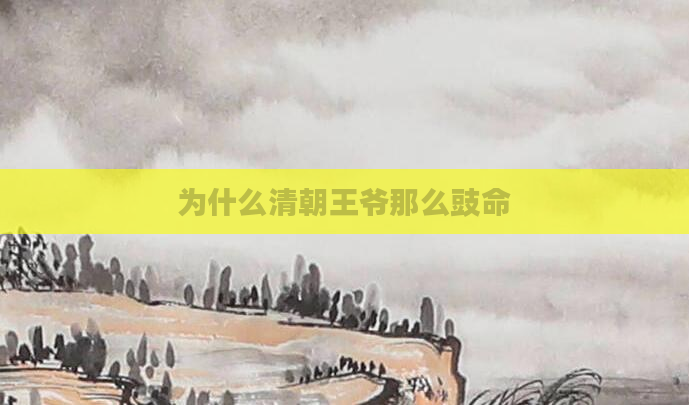 为什么清朝王爷那么豉命