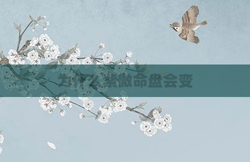 为什么紫微命盘会变