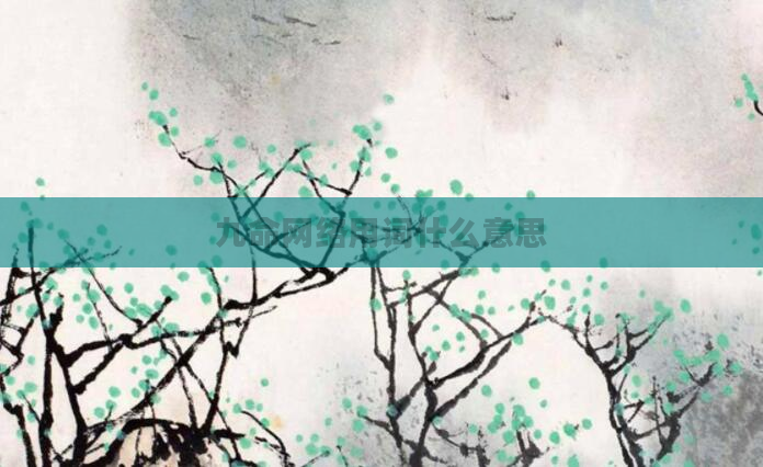 九命网络用词什么意思