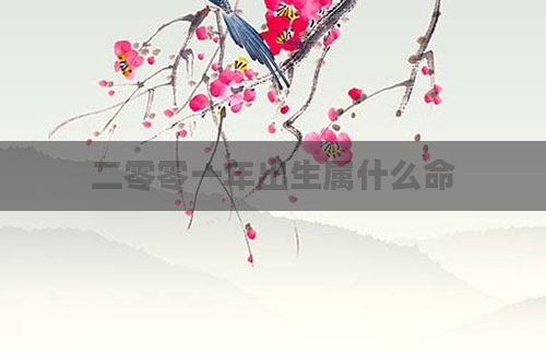 二零零一年出生属什么命