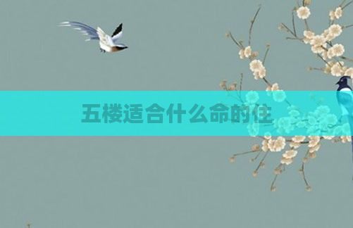 五楼适合什么命的住