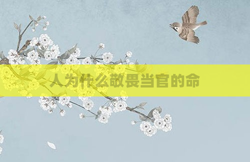 人为什么敬畏当官的命