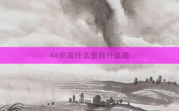 46岁属什么生肖什么命