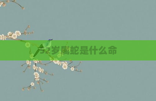 52岁属蛇是什么命