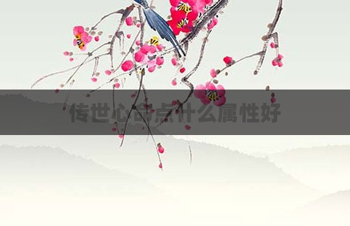 传世心命点什么属性好