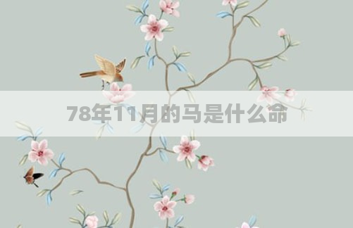 78年11月的马是什么命