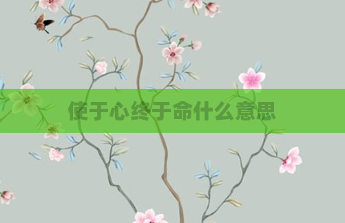 使于心终于命什么意思