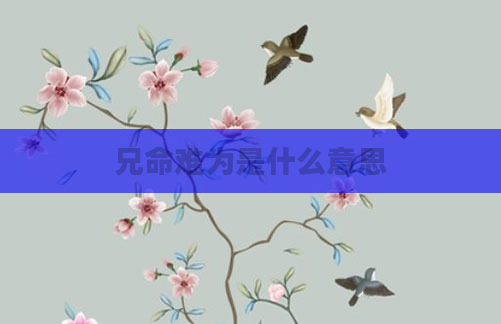 兄命难为是什么意思