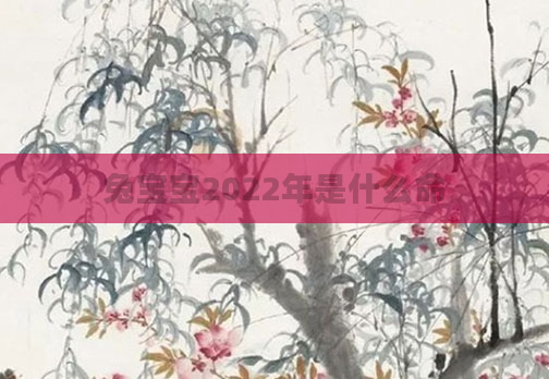 兔宝宝2022年是什么命