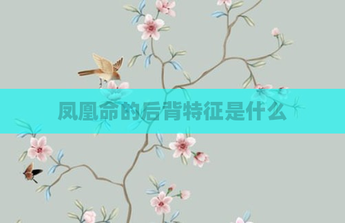 凤凰命的后背特征是什么