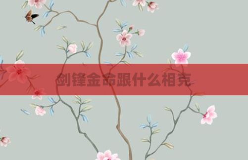 剑锋金命跟什么相克