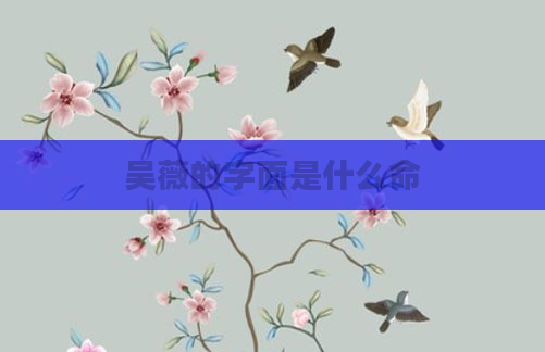 吴薇的字面是什么命
