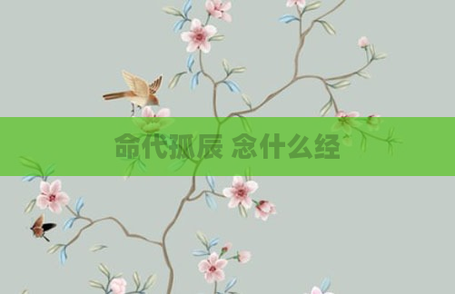 命代孤辰 念什么经