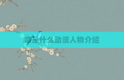 命是什么动漫人物介绍