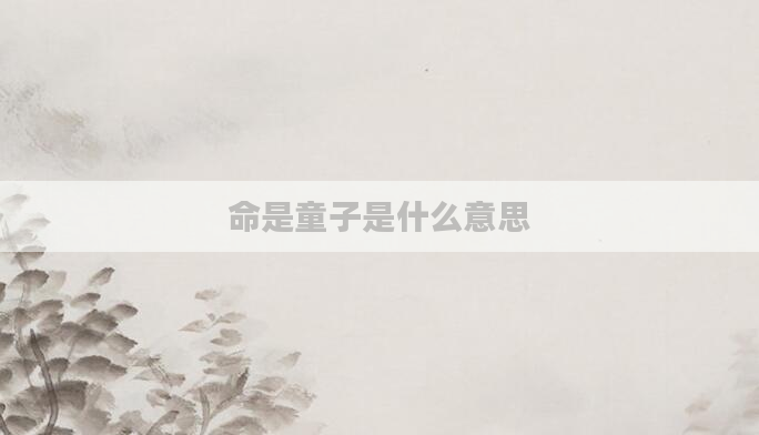 命是童子是什么意思