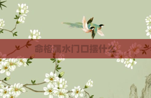 命格属水门口摆什么