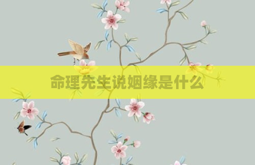 命理先生说姻缘是什么