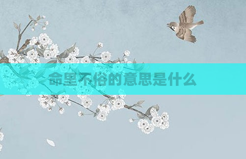 命里不俗的意思是什么