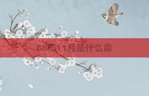 88年11月是什么命