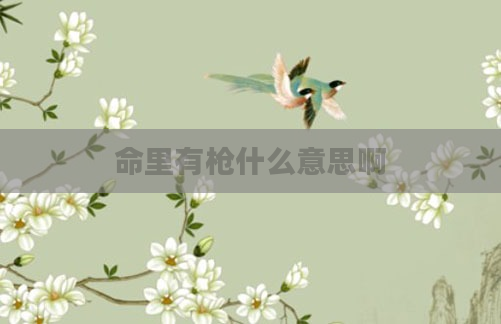 命里有枪什么意思啊