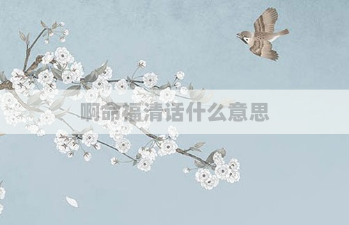 啊命福清话什么意思