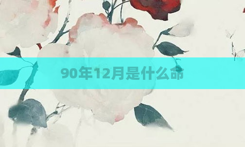 90年12月是什么命