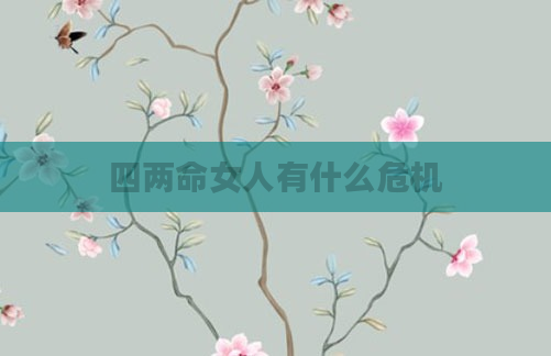 四两命女人有什么危机