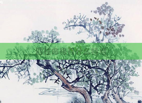 四柱命格有什么特点