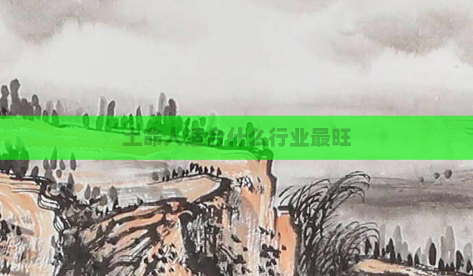 土命人适合什么行业最旺