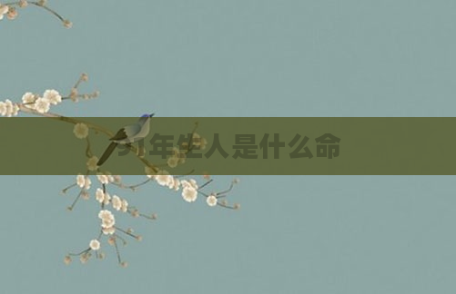 91年生人是什么命