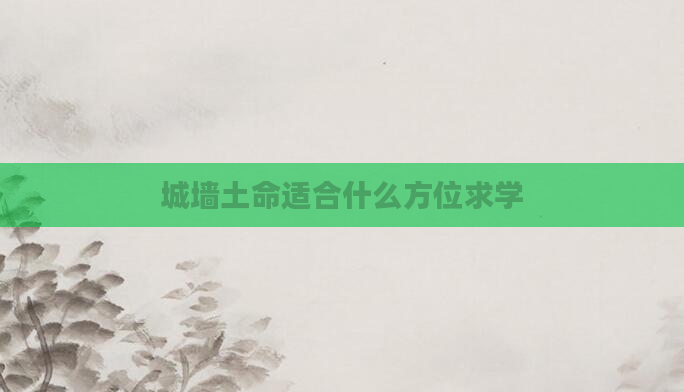 城墙土命适合什么方位求学