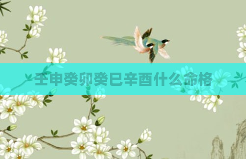 壬申癸卯癸巳辛酉什么命格