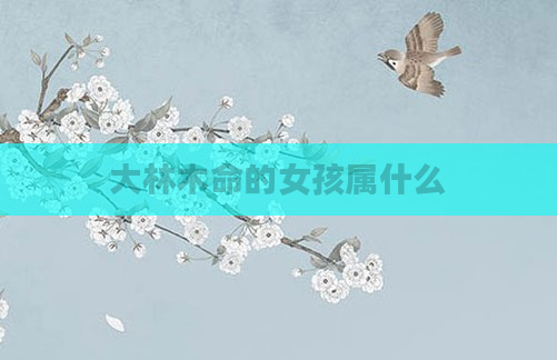 大林木命的女孩属什么