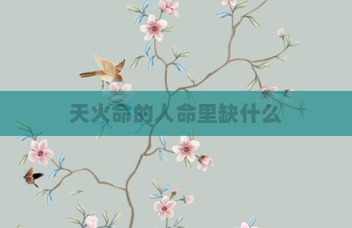 天火命的人命里缺什么