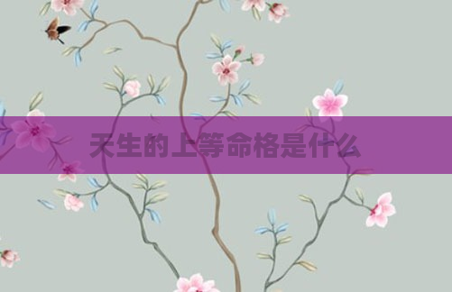 天生的上等命格是什么