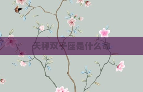 天秤双子座是什么命