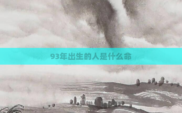 93年出生的人是什么命