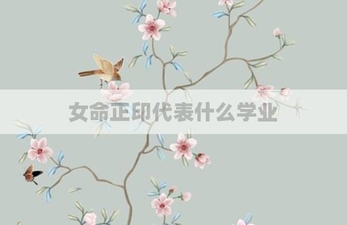 女命正印代表什么学业