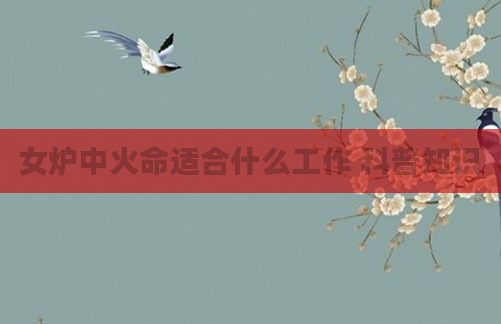 女炉中火命适合什么工作 科普知识