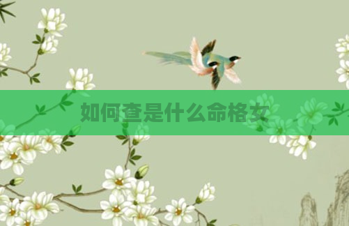 如何查是什么命格女