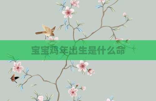 宝宝鸡年出生是什么命