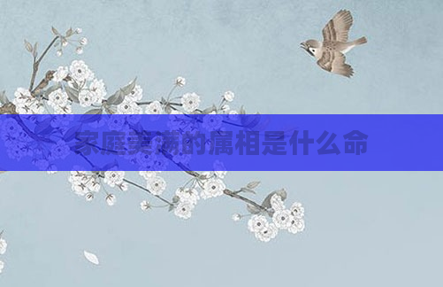 家庭美满的属相是什么命