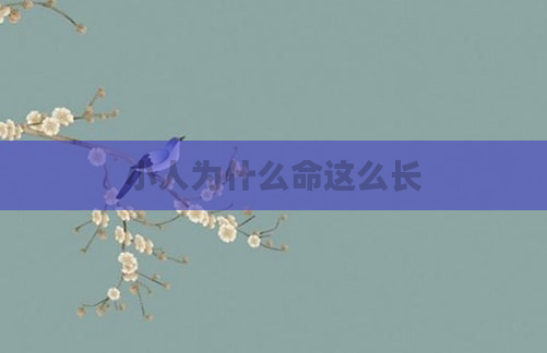 小人为什么命这么长