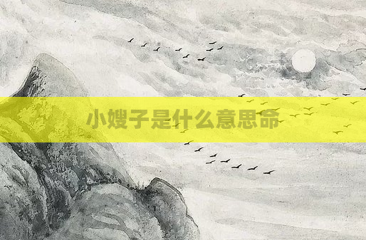 小嫂子是什么意思命