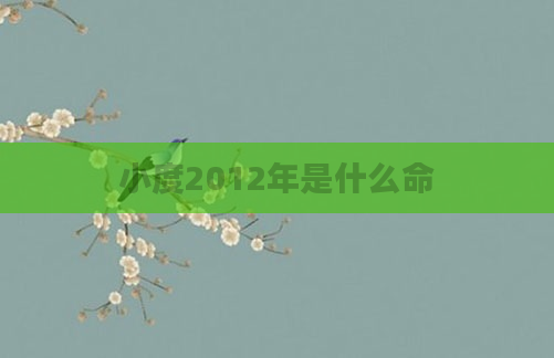 小度2012年是什么命