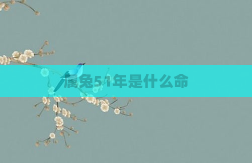 属兔51年是什么命