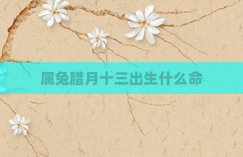 属兔腊月十三出生什么命