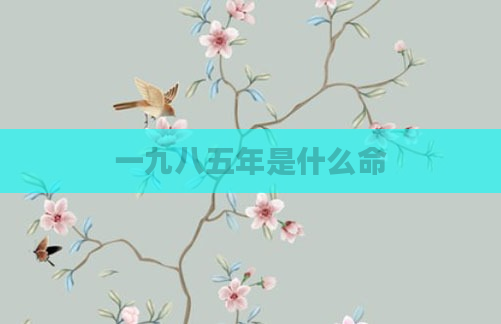 一九八五年是什么命