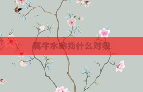 属牛水命找什么对象