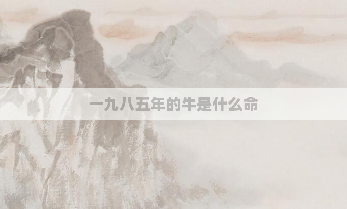 一九八五年的牛是什么命